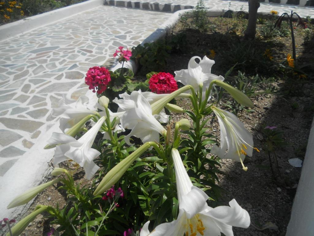 Villa Ostria Kamári Exterior foto